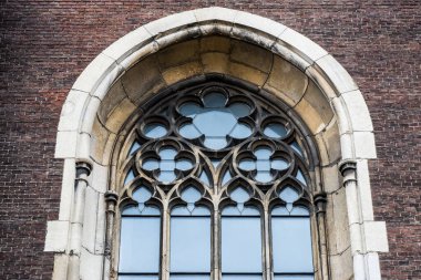 Güllerle kaplı katedrallerin ve kalelerin gotik pencereleri. Çizgi ve desen, dekorasyon ve yapısal.