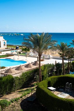 Palmiye ağaçları ve mavi gökyüzü olan güzel sahil