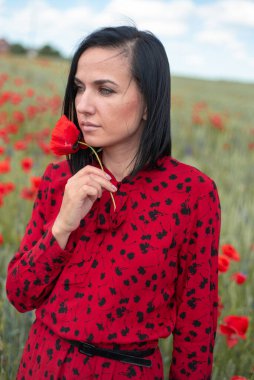 Elinde çiçek olan romantik kadın haşhaş tarlasında