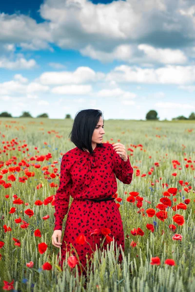 Elinde çiçek olan romantik kadın haşhaş tarlasında