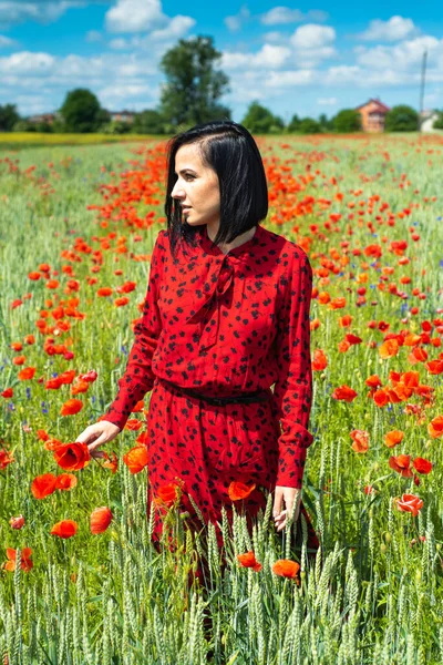 Elinde çiçek olan romantik kadın haşhaş tarlasında