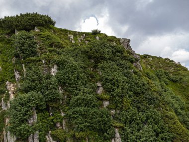 Dağların güzel manzarası