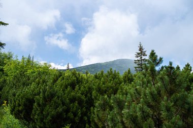 Dağların güzel manzarası