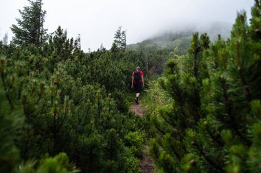 Yeşil ceketli bir adam dağlarda yürüyüş yapıyor..
