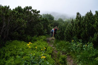 Yeşil ceketli bir adam dağlarda yürüyüş yapıyor.