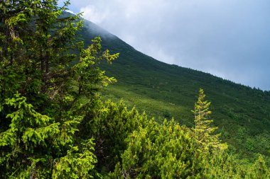 Dağları ve bulutları olan güzel bir manzara