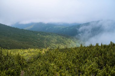 Dağların güzel manzarası