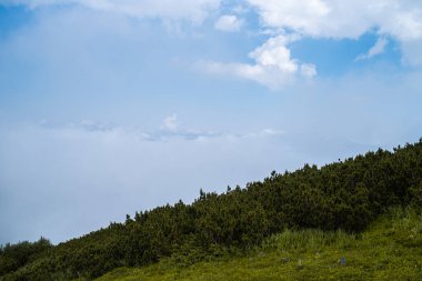 Dağ ve mavi gökyüzü olan güzel bir manzara.