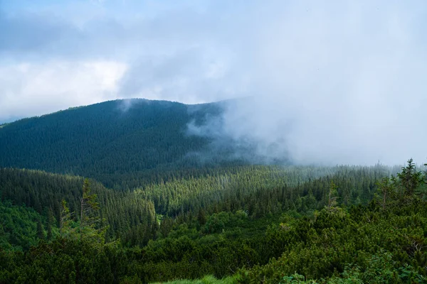 Beau Paysage Avec Une Forêt Ciel Nuageux — Photo