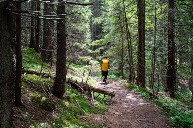 Ormanda yürüyüş yapan genç bir kadın.