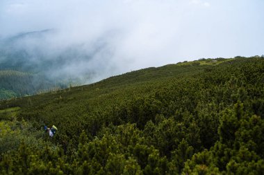 Dağların güzel manzarası