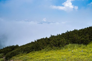 Dağlarda dağları olan güzel bir manzara.