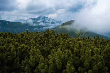 Dağları ve bulutları olan güzel bir manzara