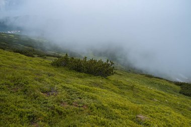 Dağların güzel manzarası