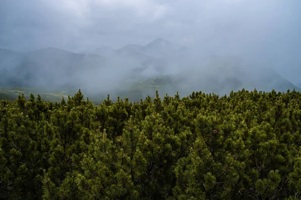 Bela Vista Das Montanhas — Fotografia de Stock