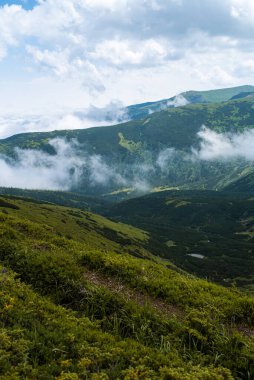 Dağlarda dağları olan güzel bir manzara.