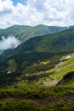 Karpat Dağlarının güzel manzarası