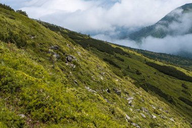 Karpat Dağlarının güzel manzarası