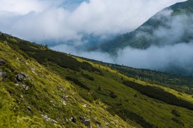 Dağların güzel manzarası