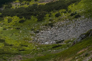 Yeşil çimenleri ve mavi gökyüzü olan güzel dağ manzarası