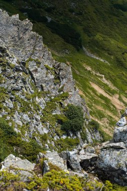 Yeşil çimenleri ve mavi gökyüzü olan güzel dağ manzarası