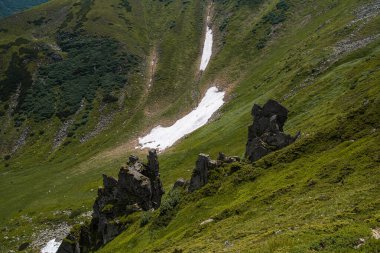 Dağları ve yeşil otları olan güzel bir manzara.