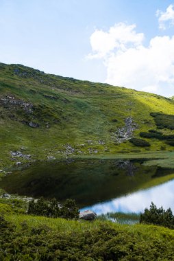 Nehir ve yeşil çimlerle güzel bir manzara.