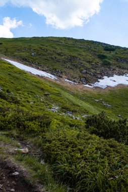 Dağlarda nehri olan güzel bir manzara.