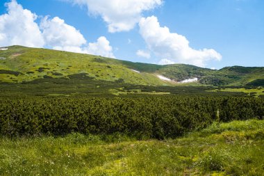 Mavi gökyüzü ve bulutlu yeşil çayır