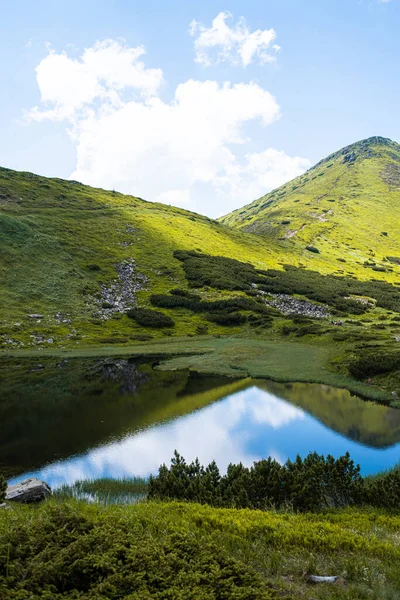 美丽的风景 有河流和绿草 — 图库照片