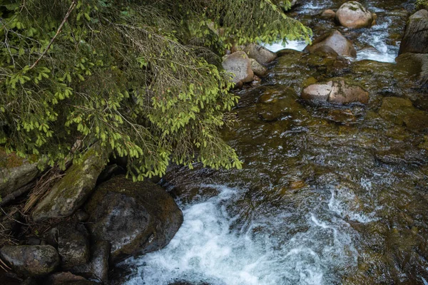 Hermosa Cascada Bosque —  Fotos de Stock