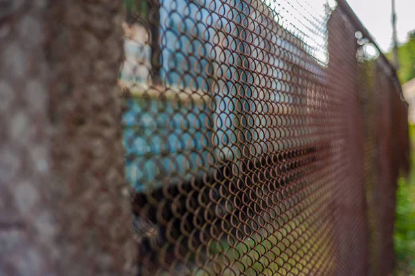 Nahaufnahme Eines Netzes Mit Einer Angelrute — Stockfoto