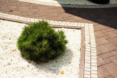 yeşil çimen ve taş kaldırım