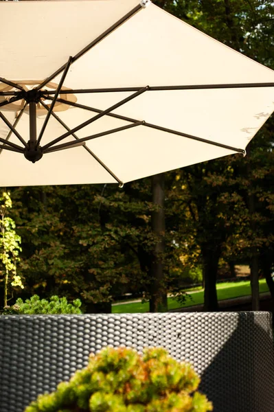 outdoor patio with umbrella and chair