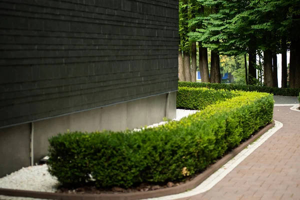 Parkın güzel manzarası