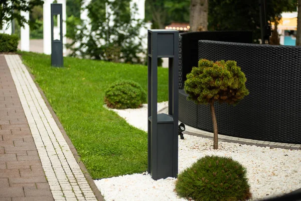 Beyaz arkaplanı olan yeşil çimen