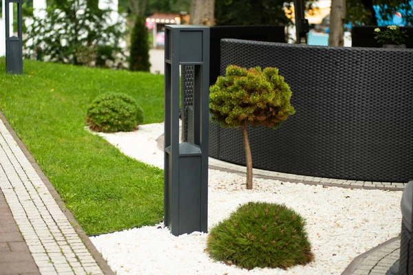 Beyaz arkaplanı olan yeşil çimen