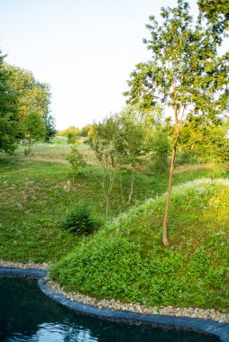 Parkın güzel manzarası