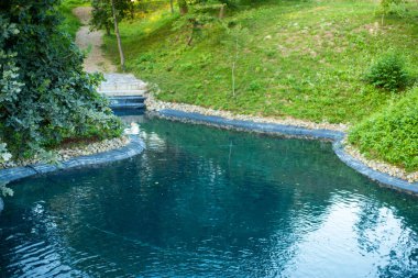 Güzel göl manzarası