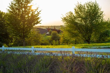 Parkın güzel manzarası