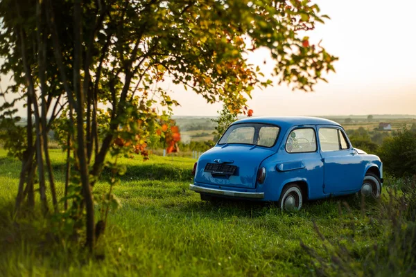 a small car on the road in the forest