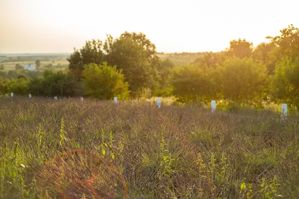 Kırsalda güzel bir gün batımı
