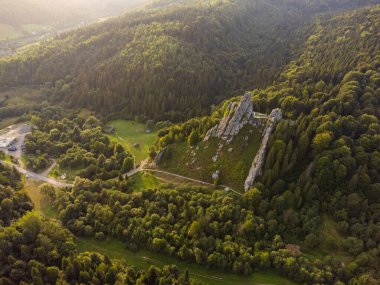 Dağlardaki ormanın havadan görünüşü