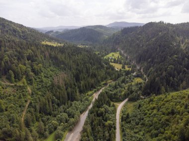 Dağlardaki ormanın havadan görünüşü