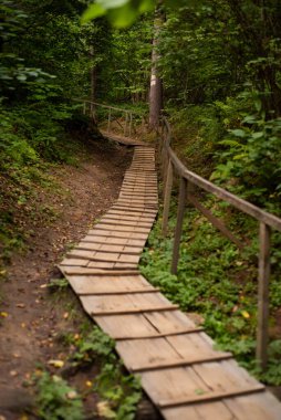 Ormanda ahşap köprü