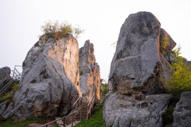 Doğanın güzel manzarası