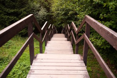 Ormanda ahşap köprü