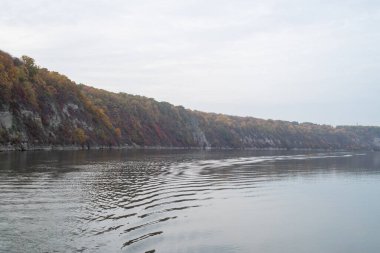 Ağaçlar ve ormanlarla dolu güzel sonbahar manzarası
