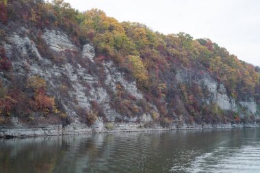 Ağaçlar ve dağlarla dolu güzel sonbahar manzarası
