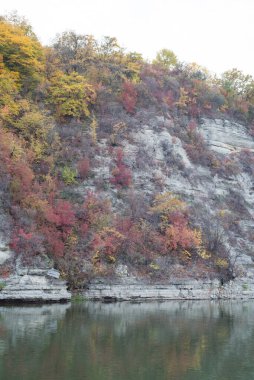Ağaçlar ve yapraklarla dolu güzel sonbahar manzarası